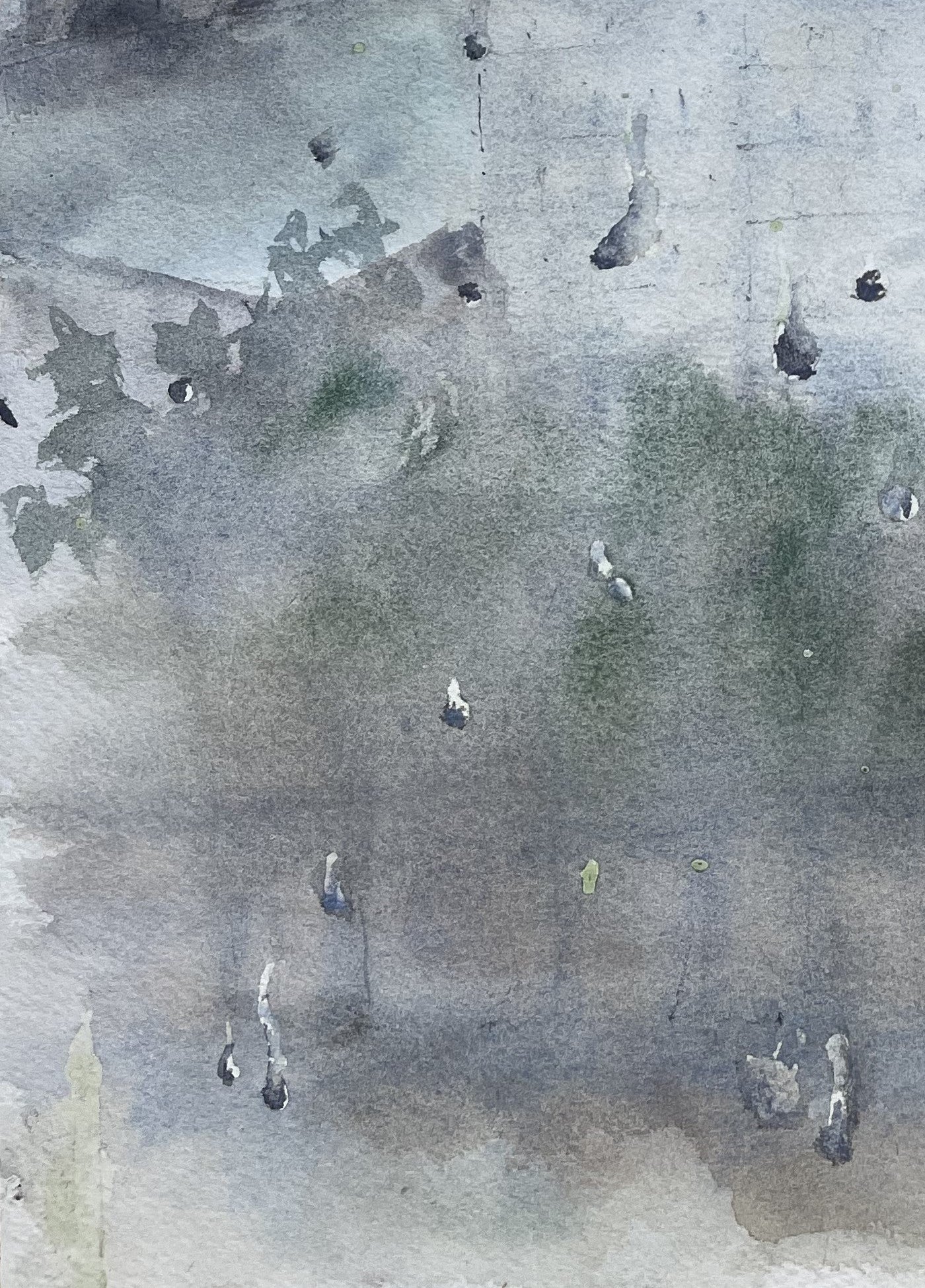 PARIS IN THE RAIN