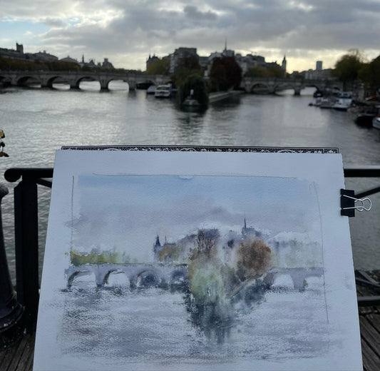VEIL ON THE PONT-NEUF