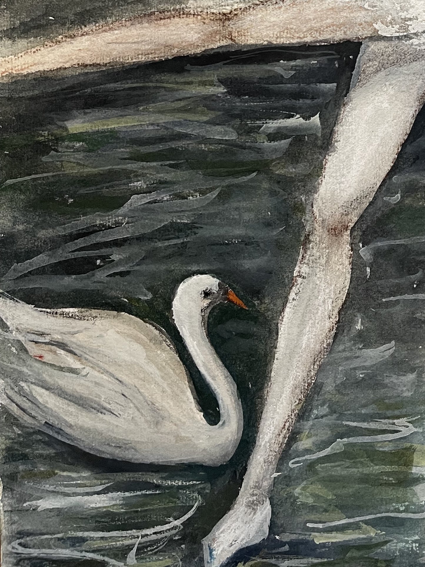 ECHO OF THE SWAN