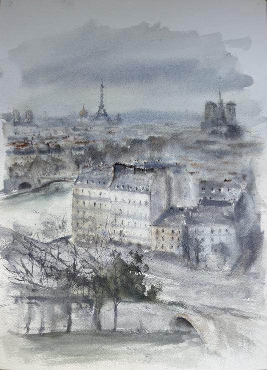 PARIS THROUGH THE MIST - A VIEW FROM BONNIE