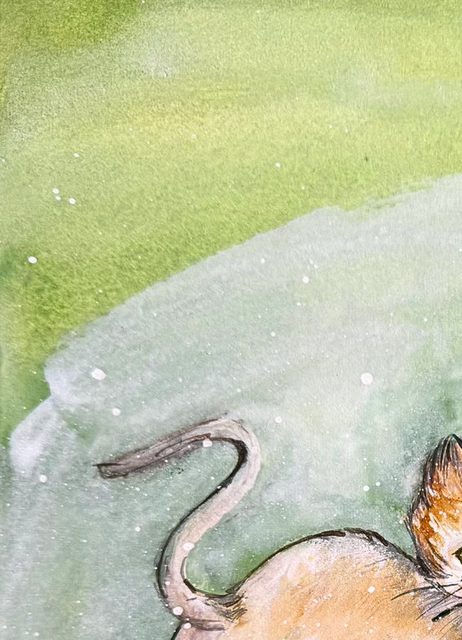 THE STAR OF THE LITTLE MESSENGER