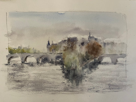 VEIL ON THE PONT-NEUF