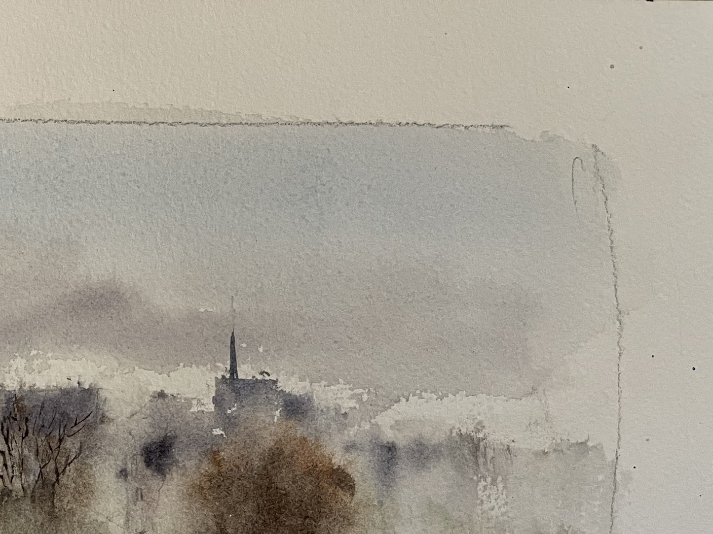 VEIL ON THE PONT-NEUF